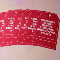 Load image into Gallery viewer, Red tags with humorous text on a pink background
